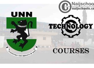 UNN Courses for Technology & Engineering Students