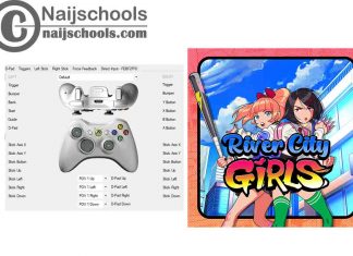 River City Girls X360ce Settings for Any PC Controller