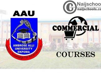 AAU Ekpoma Courses for Commercial Students to Study