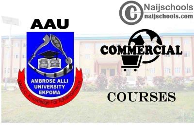  AAU Ekpoma Courses for Commercial Students to Study