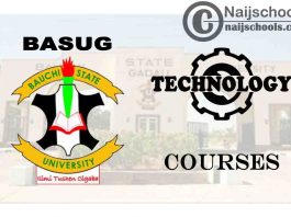 BASUG Courses for Technology & Engineering Students