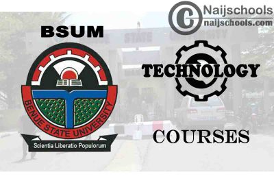 BSUM Courses for Technology & Engineering Students