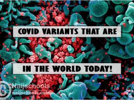 List of COVID-19 Variants that are in the World Today