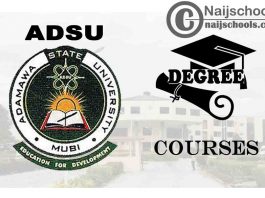 Degree Courses Offered in ADSU for Students to Study