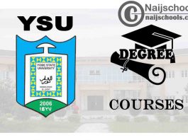 Degree Courses Offered in YSU for Students to Study