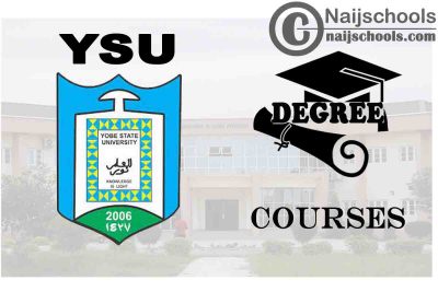 Degree Courses Offered in YSU for Students to Study
