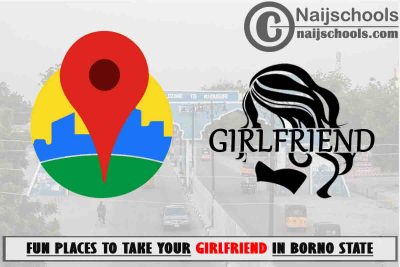 19 Fun Places to Take Your Girlfriend in Borno State