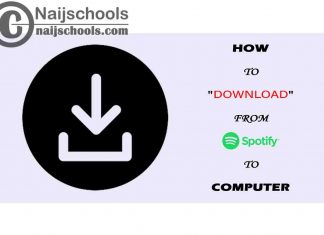 How to Download Songs from Spotify to Your Computer