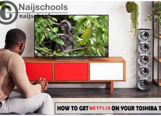 How to Get Netflix App on Your Toshiba Smart TV