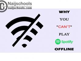 Reasons Why You Can't Play Your Spotify Songs Offline