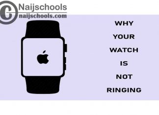 Why Your Apple Smart Watch is Not Ringing; CHECK NOW
