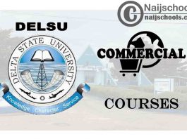 DELSU Courses for Commercial Students to Study