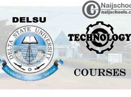DELSU Courses for Technology & Engineering Students