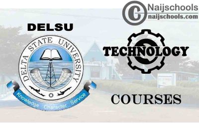DELSU Courses for Technology & Engineering Students