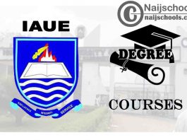 Degree Courses Offered in IAUE for Students to Study