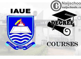 Degree Courses Offered in IAUE for Students to Study
