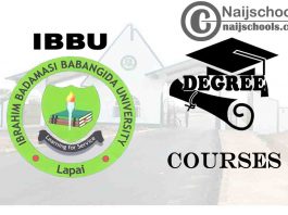 Degree Courses Offered in IBBU for Students to Study