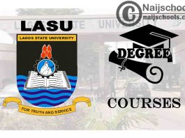 Degree Courses Offered in LASU for Students to Study