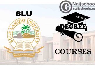 Degree Courses Offered in SLU for Students to Study