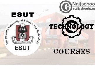 ESUT Courses for Technology & Engineering Students
