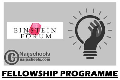 Einstein Fellowship for Young Thinkers 2022 | Apply Now
