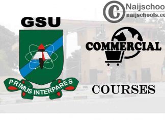 GSU Courses for Commercial Students to Study