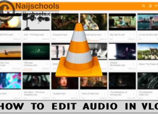 How to Edit Audio in VLC Media Player App/Software