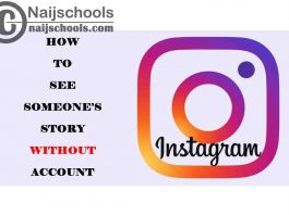 How to See Someone’s Story on Instagram Without an Account