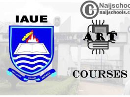 IAUE Courses for Art Students to Study; Full List