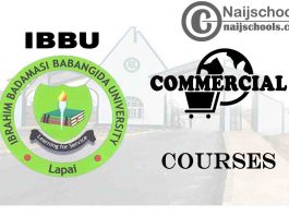 IBBU Courses for Commercial Students to Study
