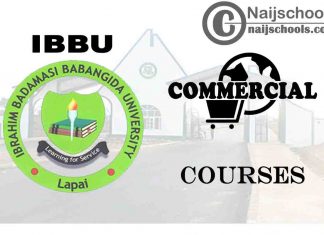 IBBU Courses for Commercial Students to Study