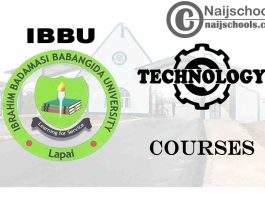 IBBU Courses for Technology & Engine Students