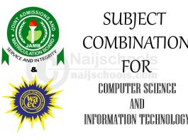 Subject Combination for Computer Science and Information Technology