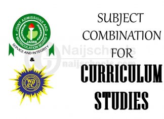 Subject Combination for Curriculum Studies
