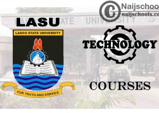 LASU Courses for Technology & Engineering Students