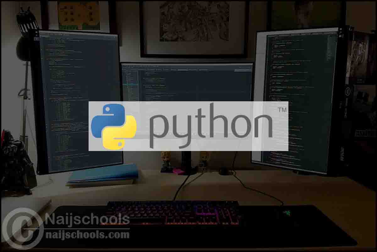 Learning the Python Programming Language; What to Know in 2022