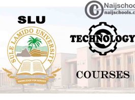 SLU Courses for Technology & Engineering Students