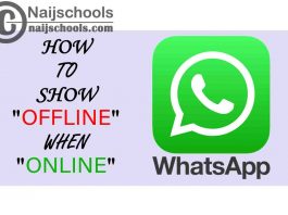 How to Show Offline in WhatsApp Profile When Online