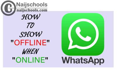 How to Show Offline in WhatsApp Profile When Online