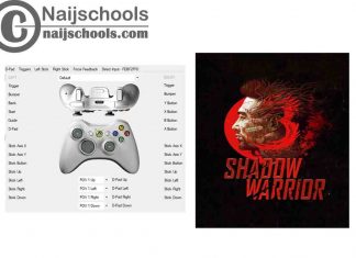 Shadow Warrior 3 X360ce Settings for Any PC Gamepad