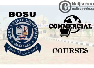 BOSU Courses for Commercial Students to Study