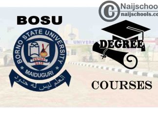 Degree Courses Offered in BOSU for Students to Study