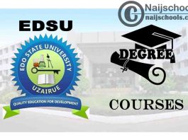 Degree Courses Offered in EDSU for Students to Study