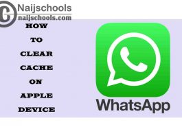 How to Clear WhatsApp Cache on Your Apple Device
