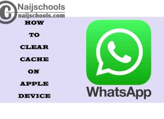 How to Clear WhatsApp Cache on Your Apple Device