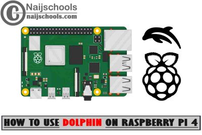 How to Use Dolphin Emulator on Raspberry Pi 4