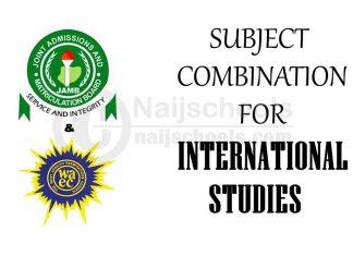 Subject Combination for International Studies