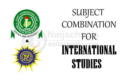 Subject Combination for International Studies