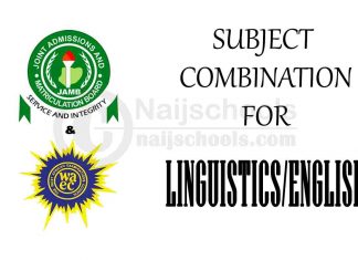Subject Combination for Linguistics/English
