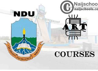 NDU Courses for Art Students to Study; Full List